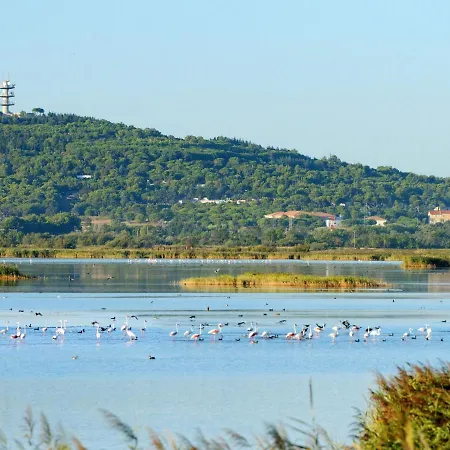 Port Saint Michel By Interhome Agde